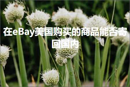 跨境电商知识:在eBay美国购买的商品能否寄回国内+